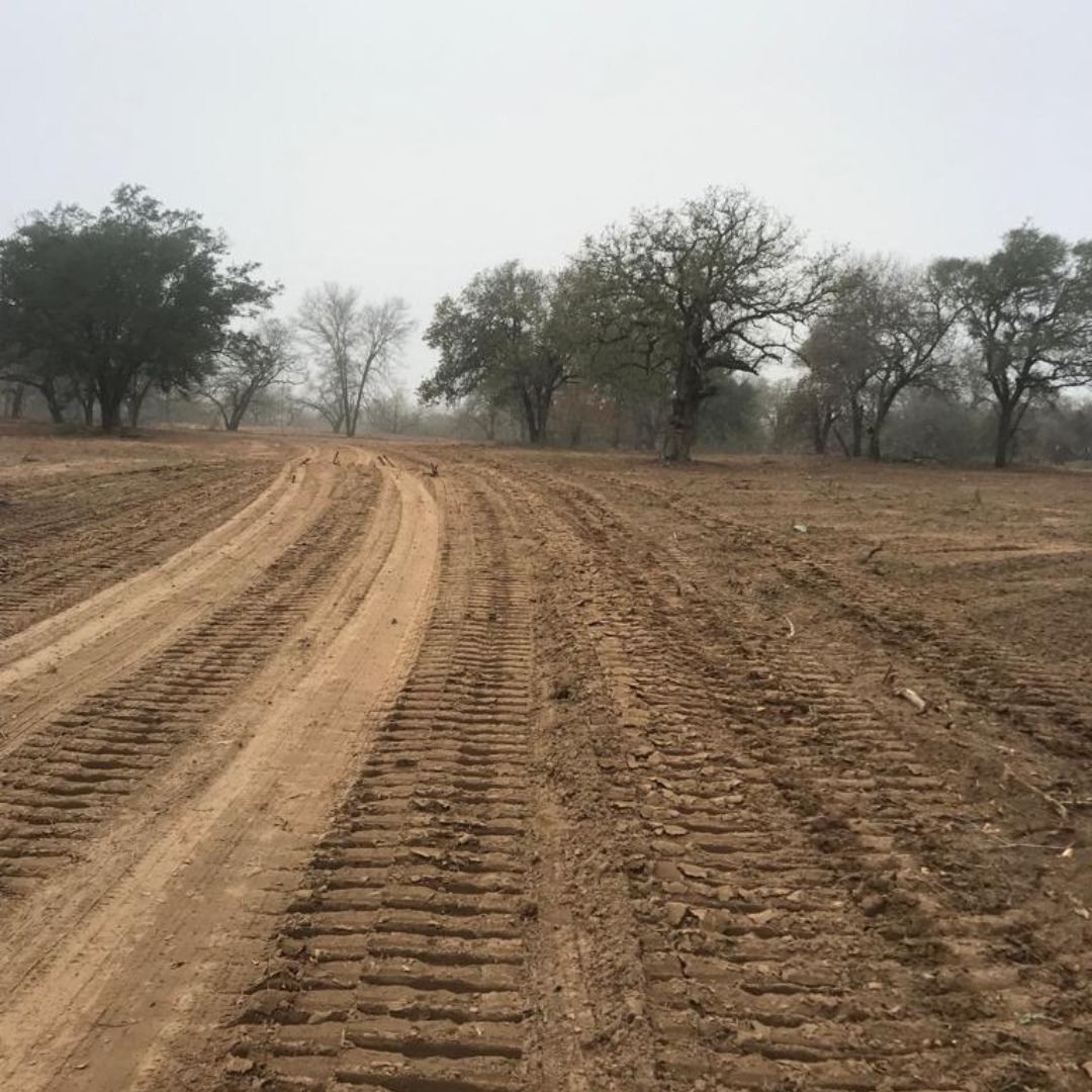 Fence Line Clearing